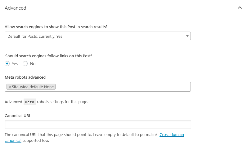 Yoast SEO Advanced Options