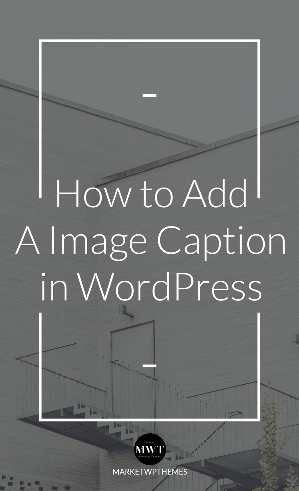 How to Add A Image Caption in WordPress