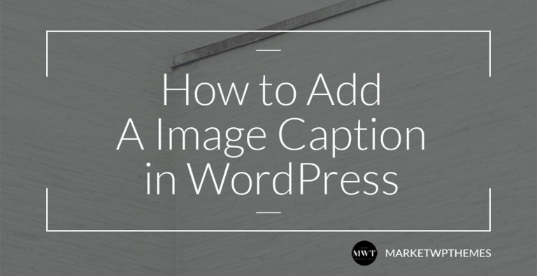 How to Add A Image Caption in WordPress Post
