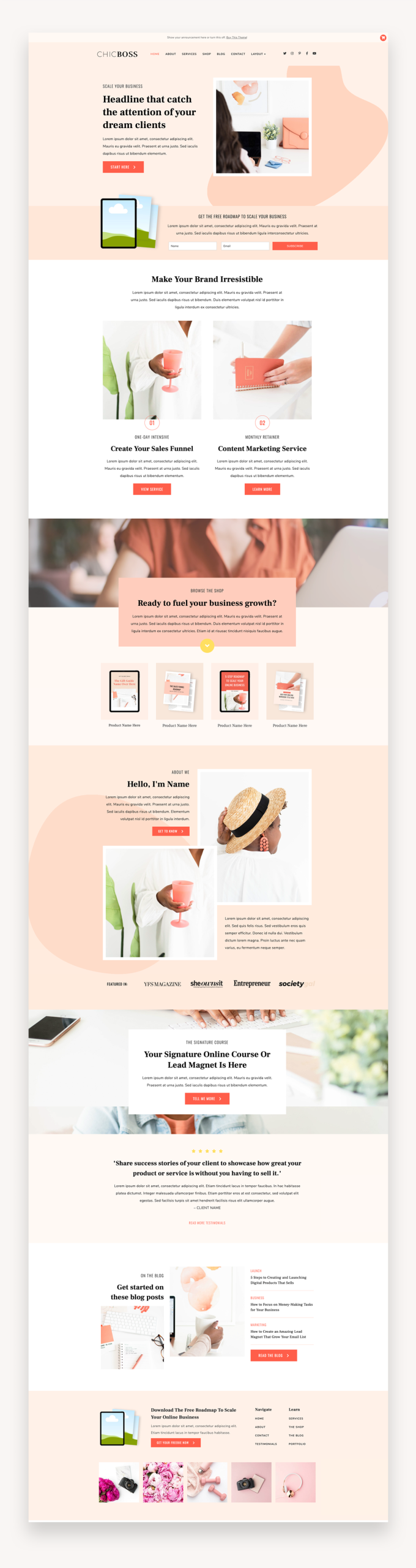 ChicBoss - WordPress Theme