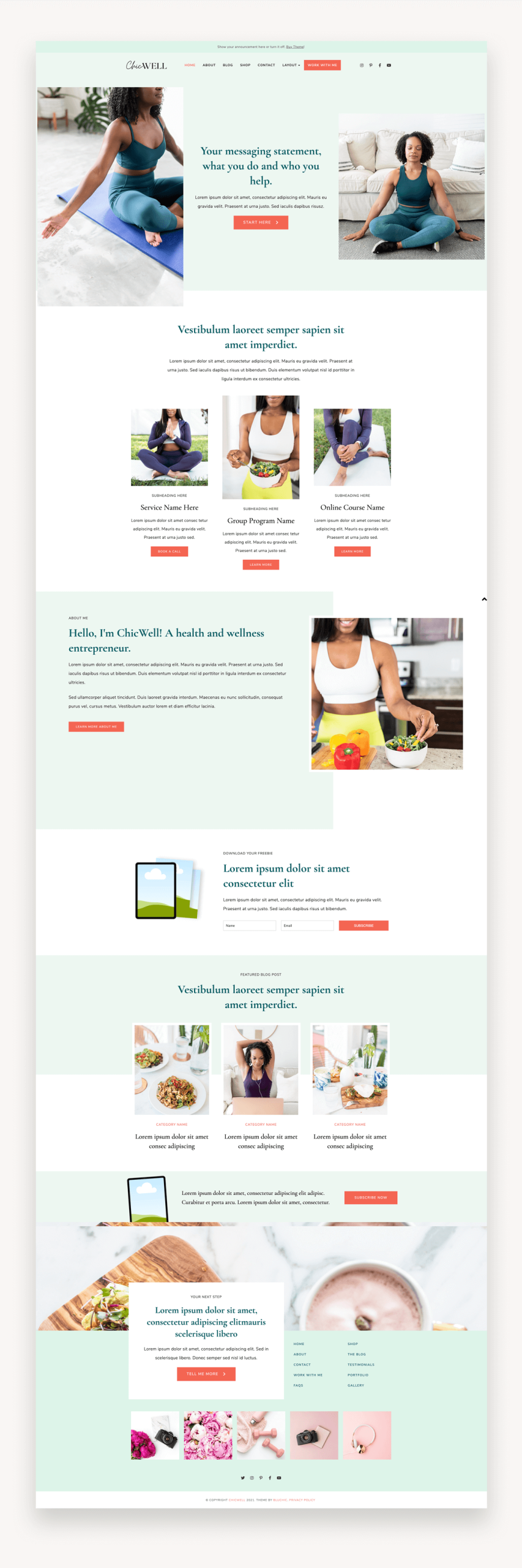 ChicWell WordPress Theme