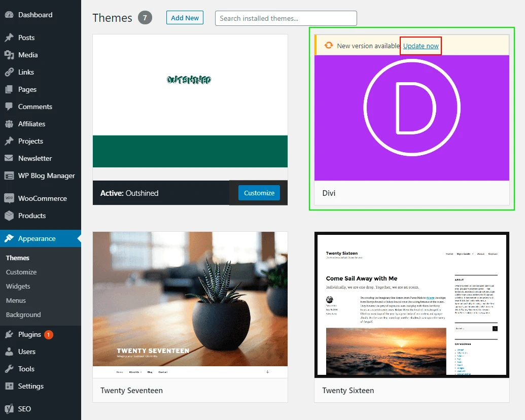 updating Divi Step 2